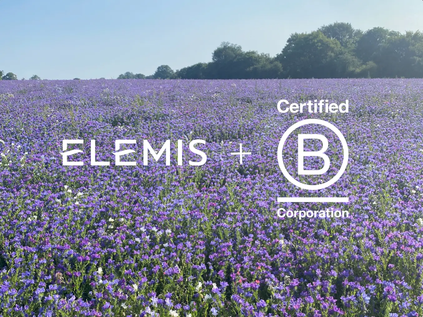 WIR SIND B CORP ZERTIFIZIERT